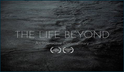 Dave Matthews's Personal Journey: Uncovering The Life Beyond The Music